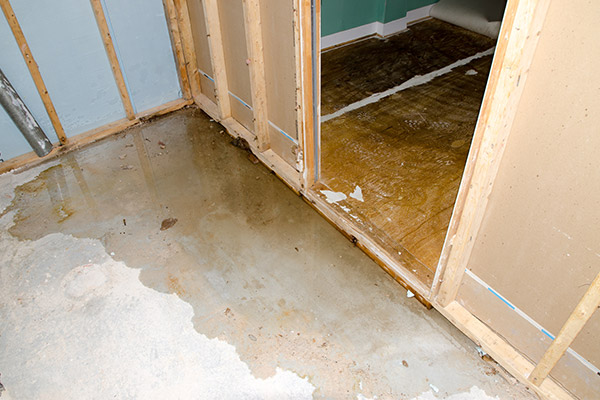 Top Solutions for Basement Water Damage Before It Gets Worse